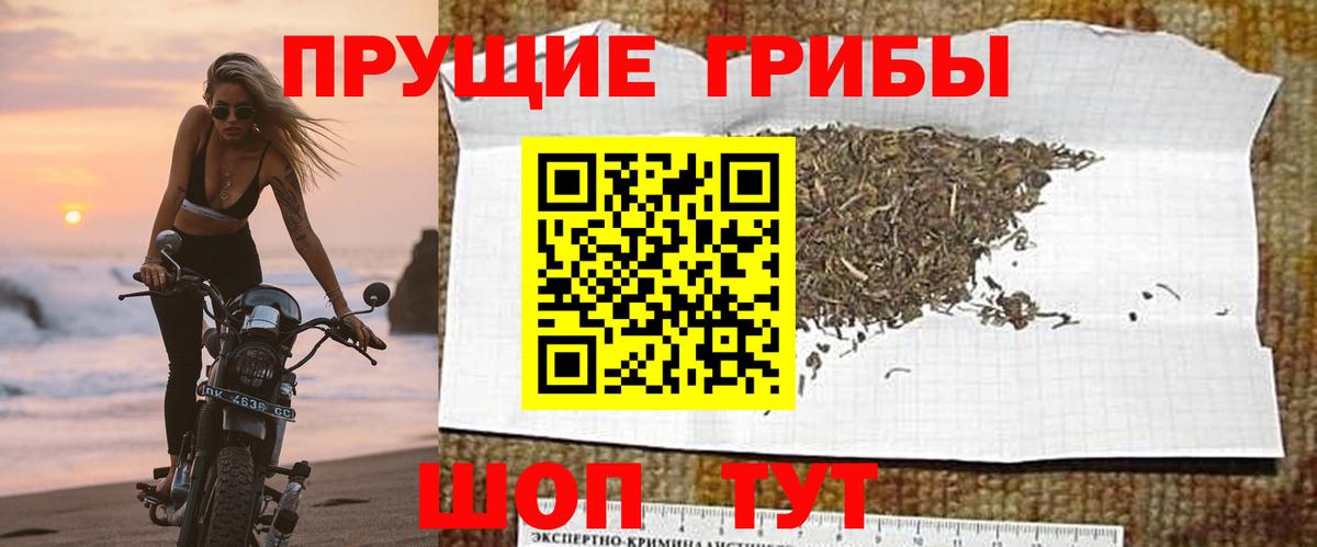 купить  сайты  Вход с VPN  Рославль  Галлюциногенные грибы Psilocybe 