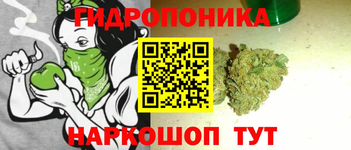 Рославль  Бошки Шишки план  Бошки Шишки семена  Марихуана гибрид  Вход с VPN 